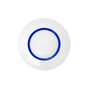 Wireless Ceiling Mount PIR Detector